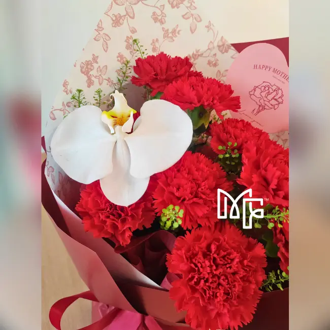 Rosy Romance(17).webp