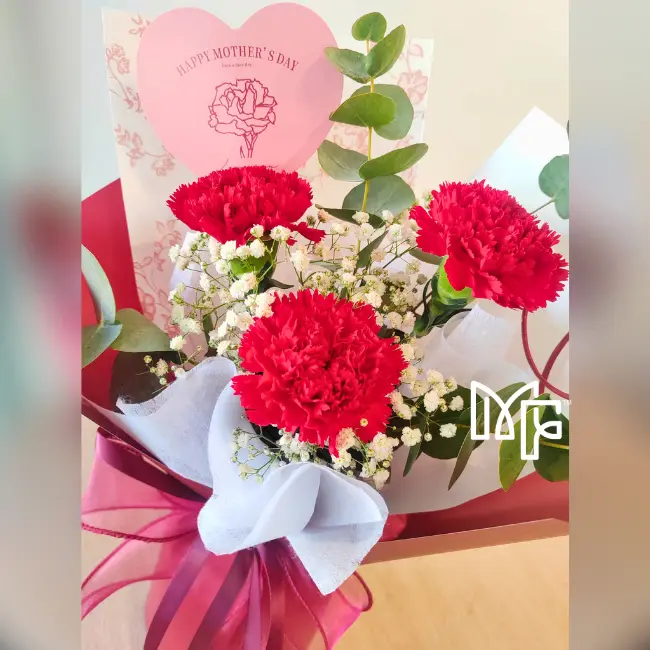 Rosy Romance(32).webp