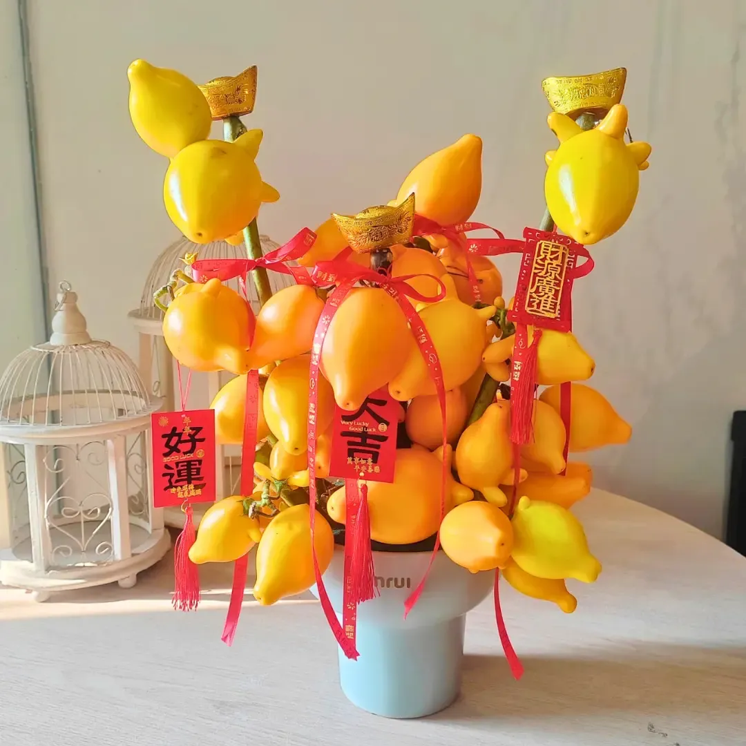 Mini Solunium Arrangement