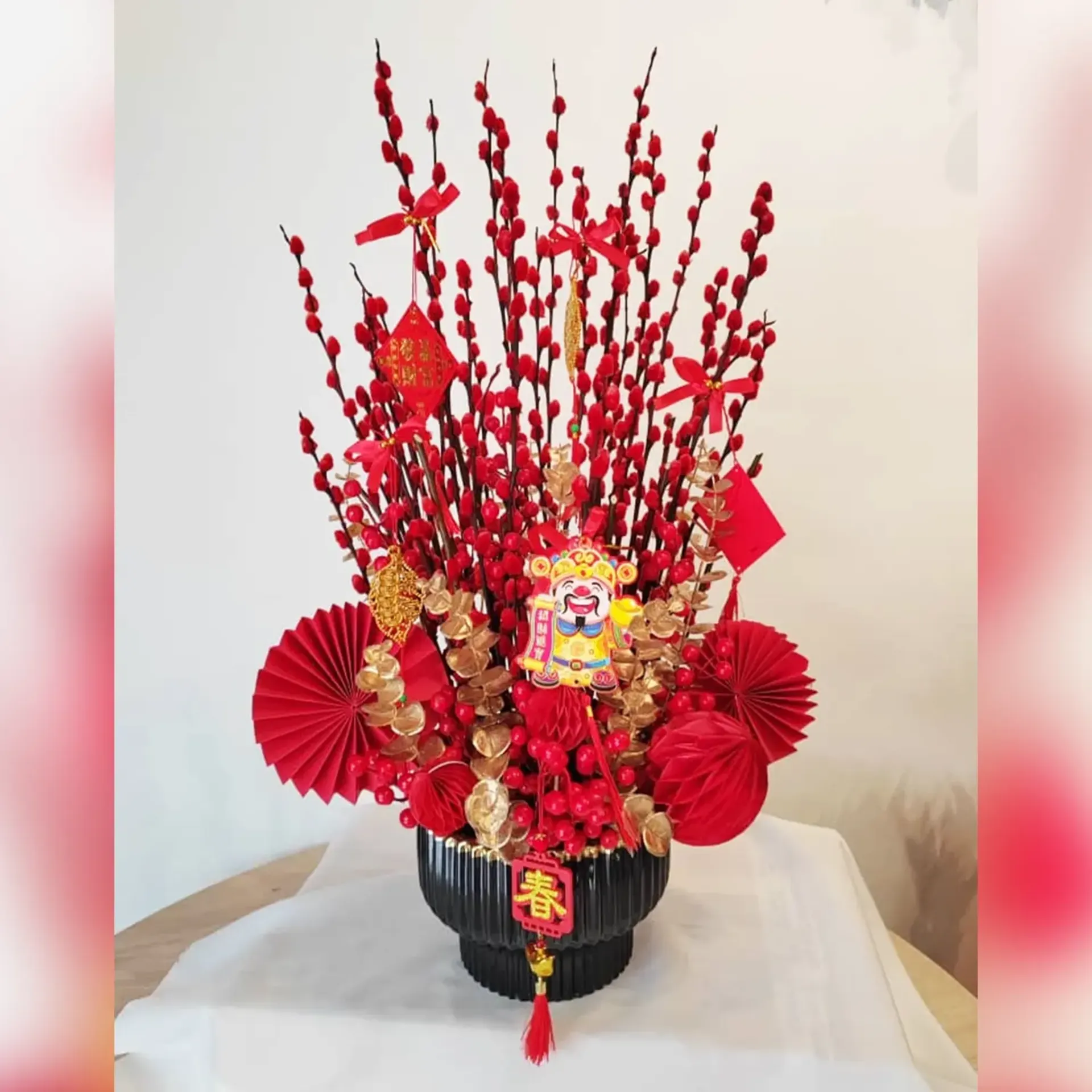 CNY Salix Argyracea Elegance 70cm