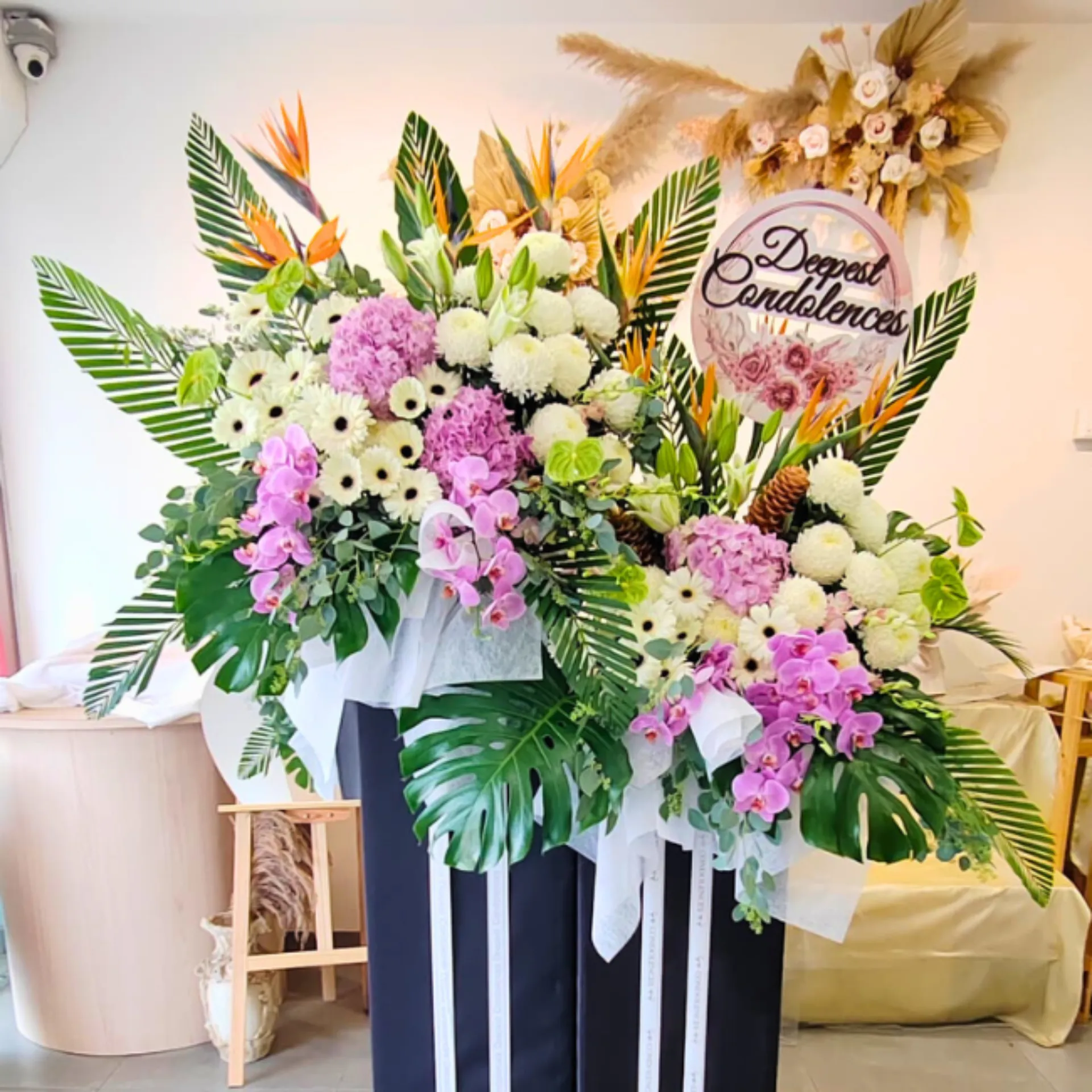 Tropical Majesty Stand