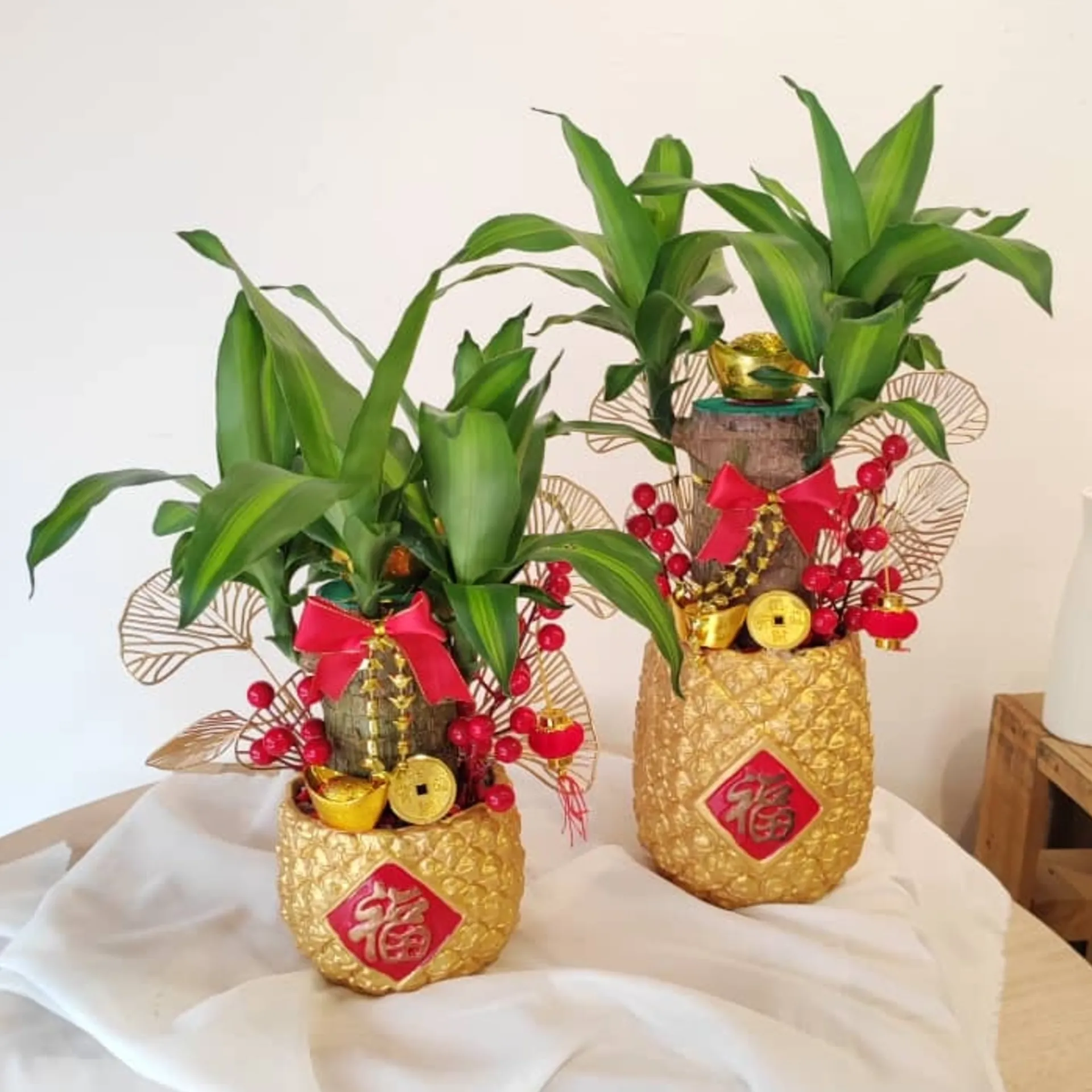 2025 Snake Year Lucky Plant