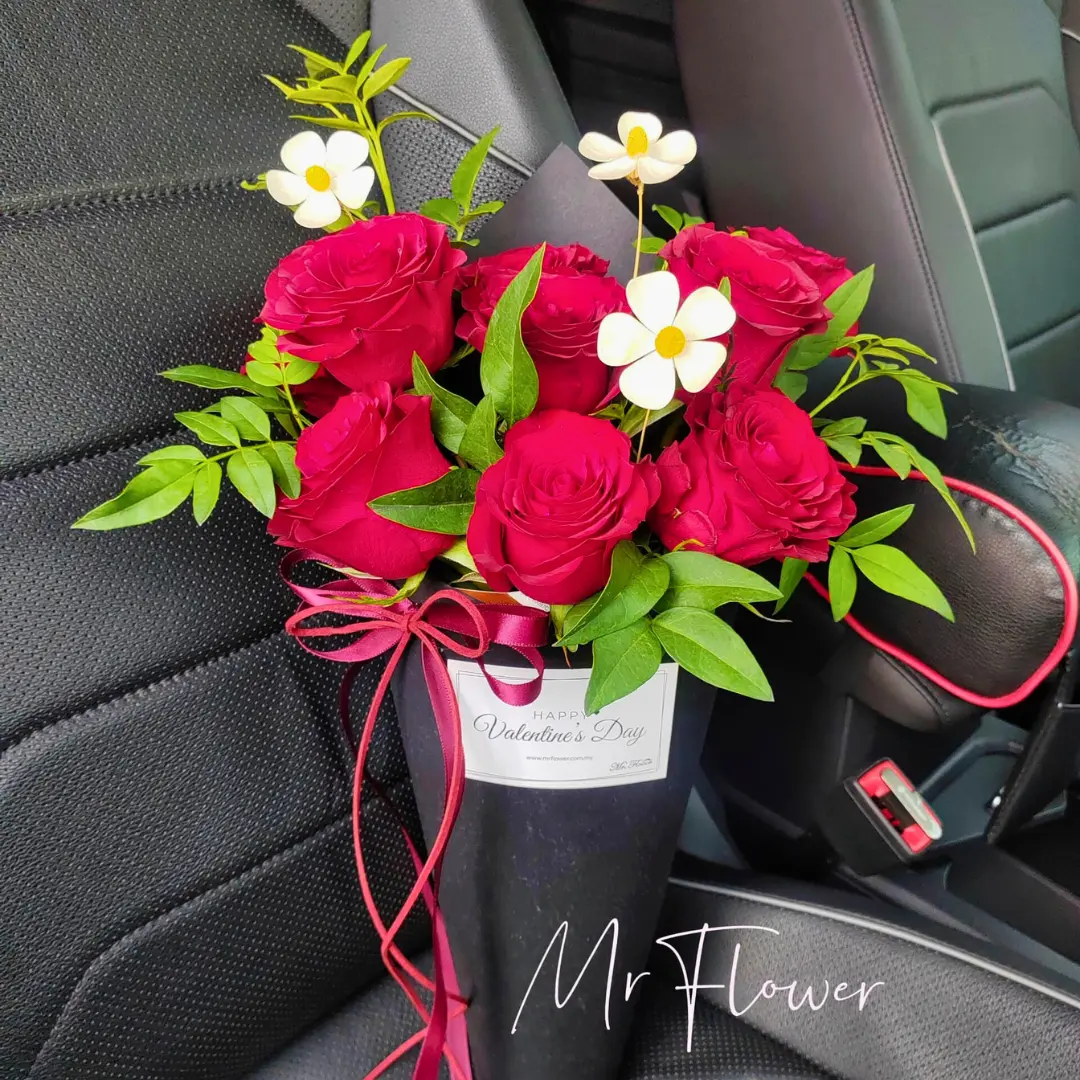 Brown Red White Boxing Day Instagram Post(51).webp